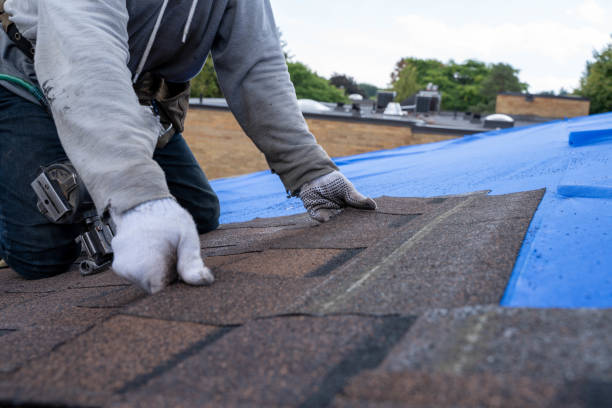 Best Roof Ventilation Installation  in Brookwood, AL